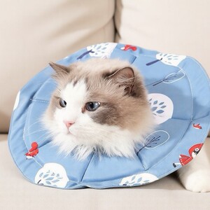 猫咪宠物绝育脖套脖圈可变形防添抓项圈防水耻辱软圈猫伊丽莎白圈