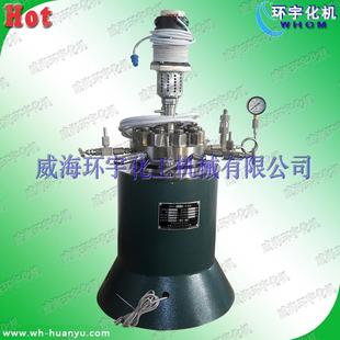 实验室磁力密封 0.5L常规反应釜 电加热反应釜现货