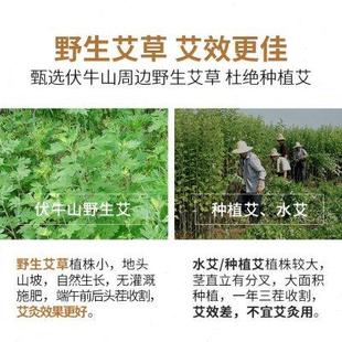 蕲郎中艾条艾柱五年陈纯艾草艾叶艾绒艾炙棒家用熏盒长艾灸条无烟
