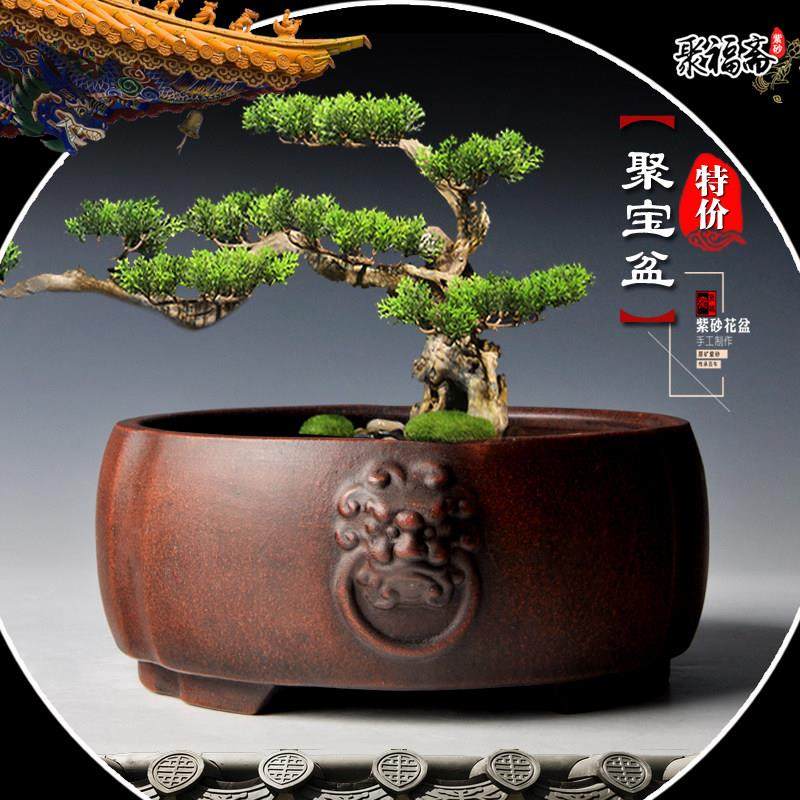 紫砂盆景盆 长方形马槽假山造景盆小叶紫檀文竹菖蒲盆栽花盆清仓,鲜花速递/花卉仿真/绿植园艺,花盆,淘宝优惠券,粉丝福利购,淘宝优惠卷