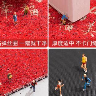 丝圈蹭土门垫家用门内地毯 进门地垫入户门耐脏大门口踩脚垫网红款