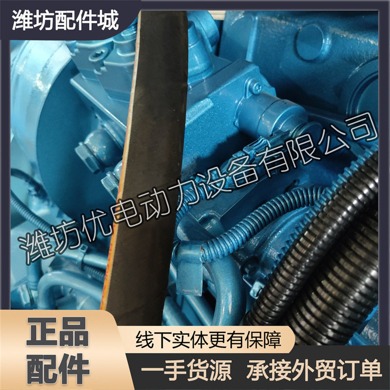 原厂高压油泵1001094554电喷共轨喷油泵潍柴博杜安6M33柴油发动机