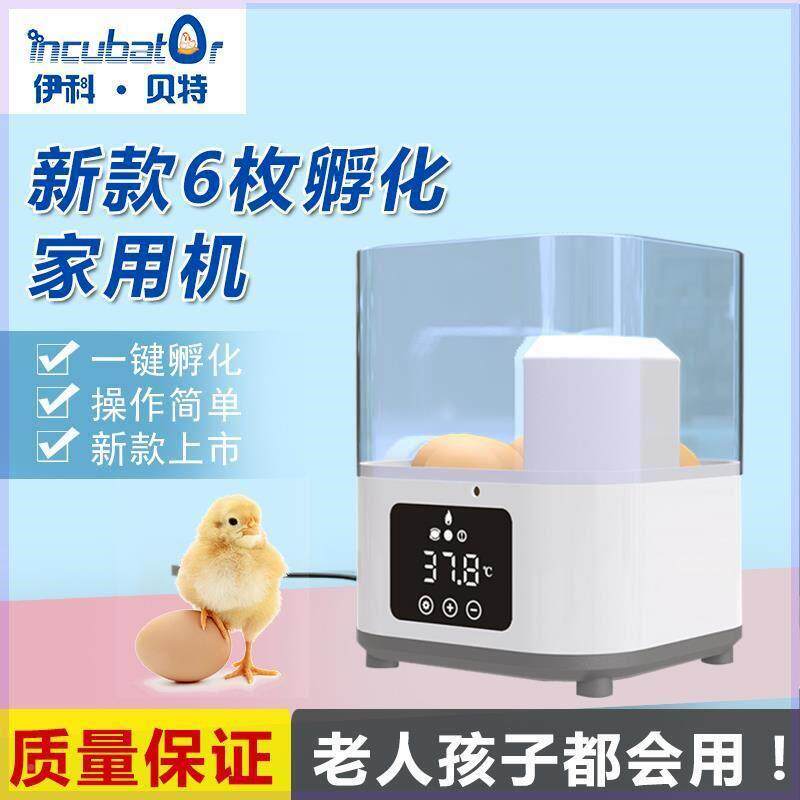 全自动孵FHK化鸡机自翻蛋孵器蛋器6枚鸡鸭鹦鹉暖蛋芦丁鸽动鹌鹑孵