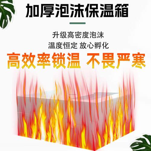 10器V-AHN20V皆可使用英文孵化全自动家用1孵化机鸡鸭鹅4孵化器