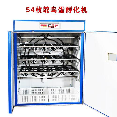 鸵鸟孵化机 YMX全自动智能鸵鸟蛋禽孵鸸器化 鹋孵化箱家用珍卵设