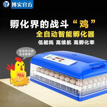 型全自动孵供器FZD工厂直鸡蛋孵化机小家用智能孵蛋器化外贸家禽
