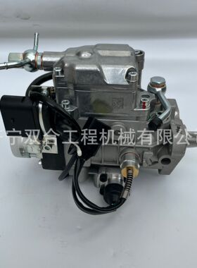 发动机燃油泵 柴油泵0460424303  2644N202 VE4/12F1100R997