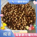 工业深度污水处理臭氧分解催化剂贵金属催化剂降COD