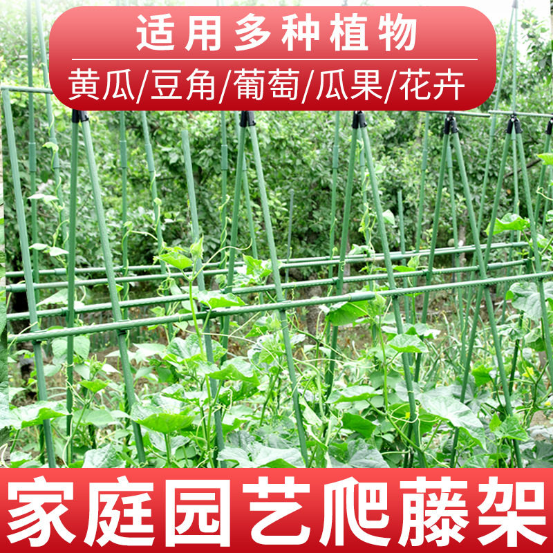 爬藤架花架加厚包塑钢管植物支架户外园艺黄瓜葡萄豆角架攀爬杆
