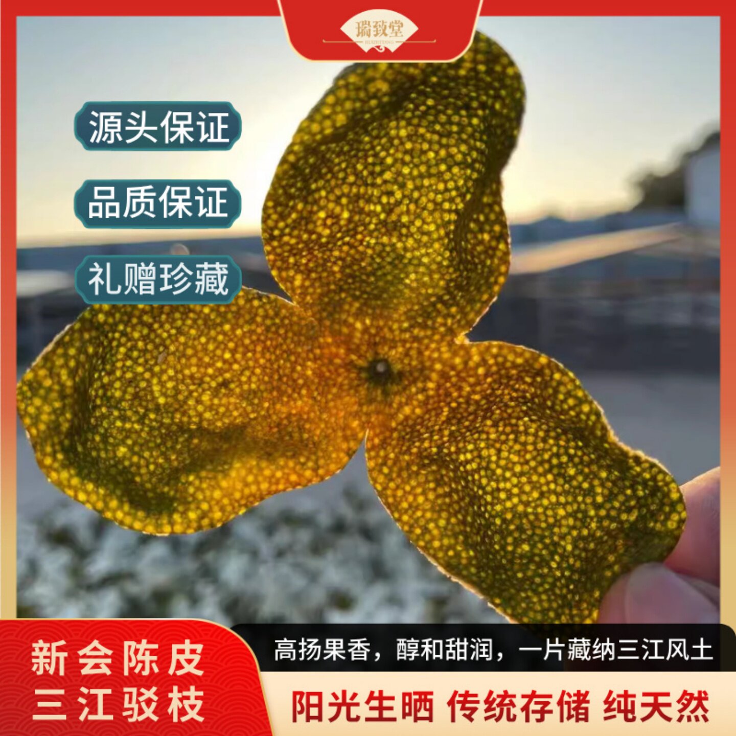 瑞致堂新会陈皮2025年三江驳枝茶枝柑新鲜果皮干大红皮天然生晒