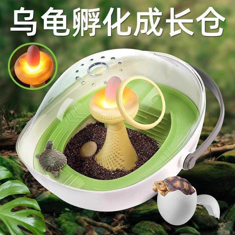 乌龟蛋可孵化成长仓活物爬台晒台专用乌龟缸宠物饲养箱小龟别墅盒,宠物/宠物食品及用品,龟/鳖,淘宝优惠券,粉丝福利购,淘宝优惠卷