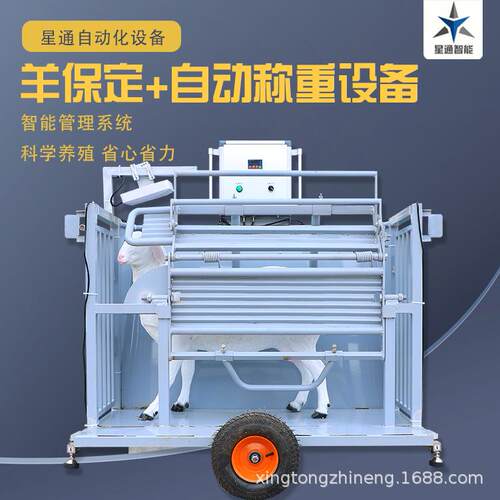 羊保定架可移动称重自动记录抱卡调节稳固耐用修蹄剪毛健康监测