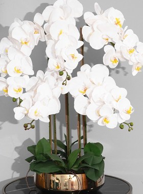 1 Set High Grade Artificial Orchids Arrangement Latex Silico
