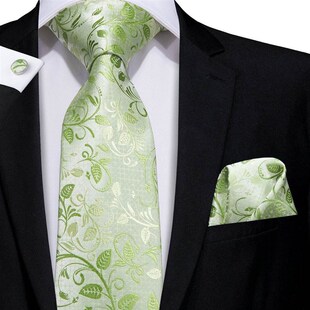 极速Hi Green Necktie Bout Grass Floral Silk Men Tie Ties