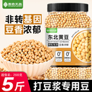东北黄豆25年农家新货打豆浆生豆芽专用豆子非转基因大豆五谷杂粮
