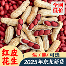 东北红皮花生2025年农家新鲜不带壳原味晒干四粒红花生米生熟可选