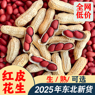 东北红皮花生2025年农家新鲜不带壳原味晒干四粒红花生米生熟可选