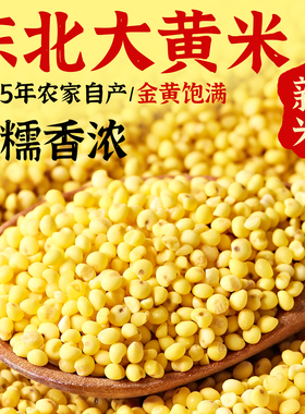 东北农家大黄米25年新货5斤黍米粥包汤圆粽子糯小米粘米五谷杂粮
