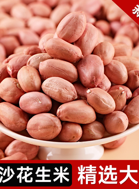 东北新鲜白沙花生米24年农家新货晒干无壳特大粒粉红皮花生仁商用