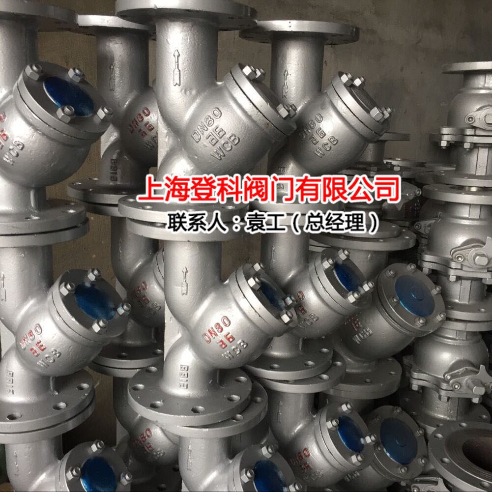 Y型法兰铸钢不锈钢水过滤器