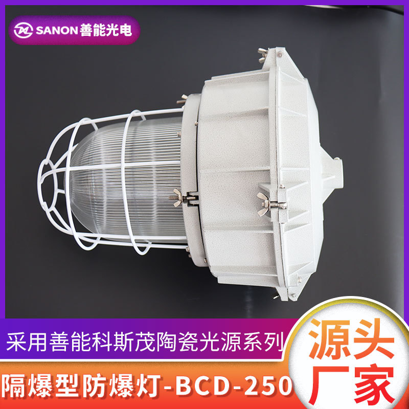 防爆灯隔爆型地雷应急灯三防户外防水车间仓库工厂照明灯善能X20