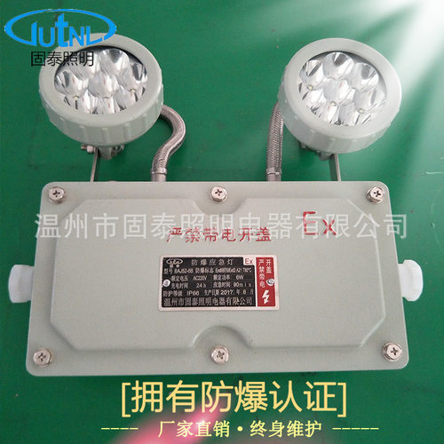 BCJ52-2*5WLED防爆应急灯