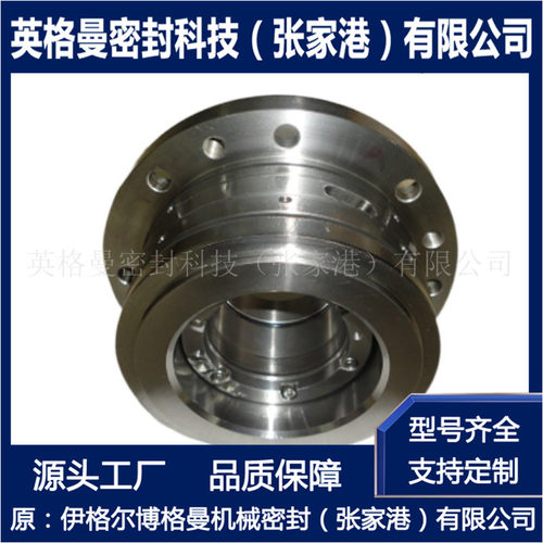 DGS干气密封P2202A/B泵用高速