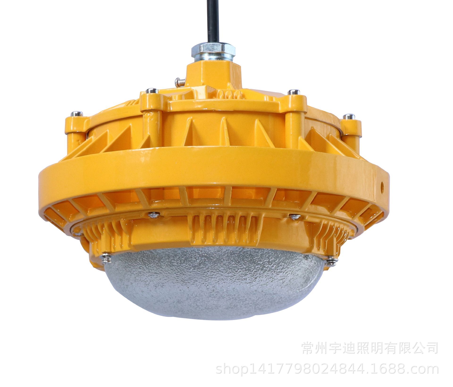 海洋王50W/100W三防防爆灯