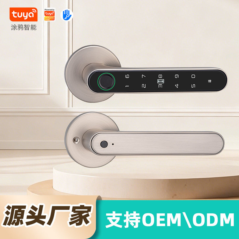 智能锁卧室房间简约室内木门分体电子锁涂鸦APP办公室locksmart