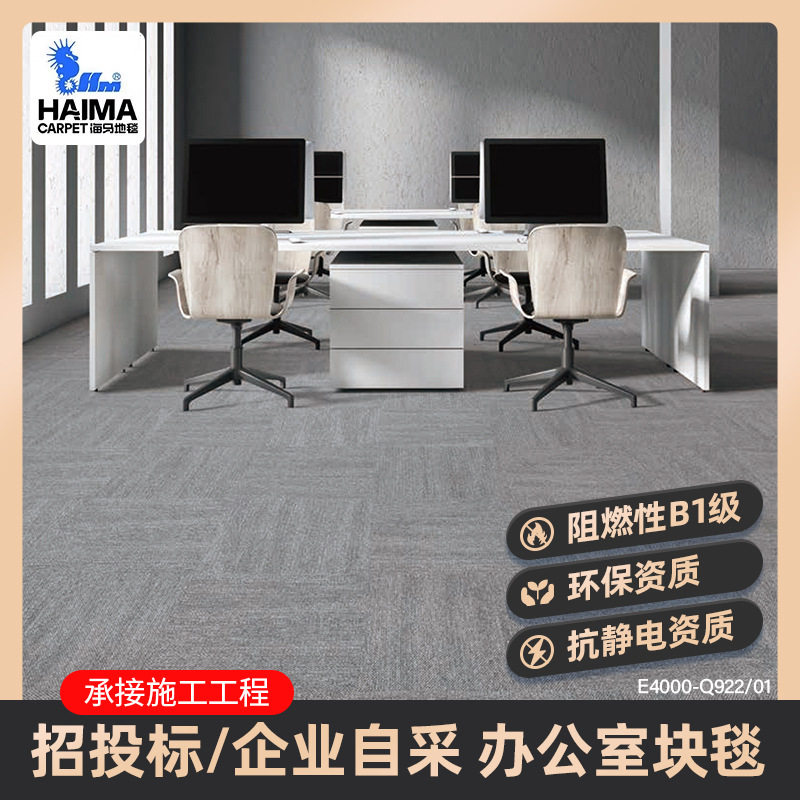 批发海马办公室地毯B1阻燃尼龙块毯防火防静电商务办公商用地毯