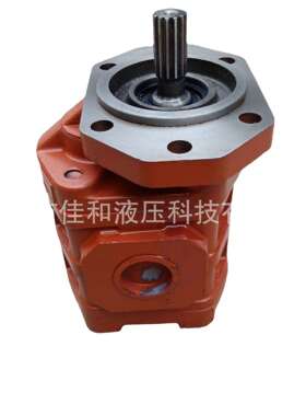 CBGJ1032扒渣机液压泵CBGJ2050齿轮泵山东扒渣机配件油泵