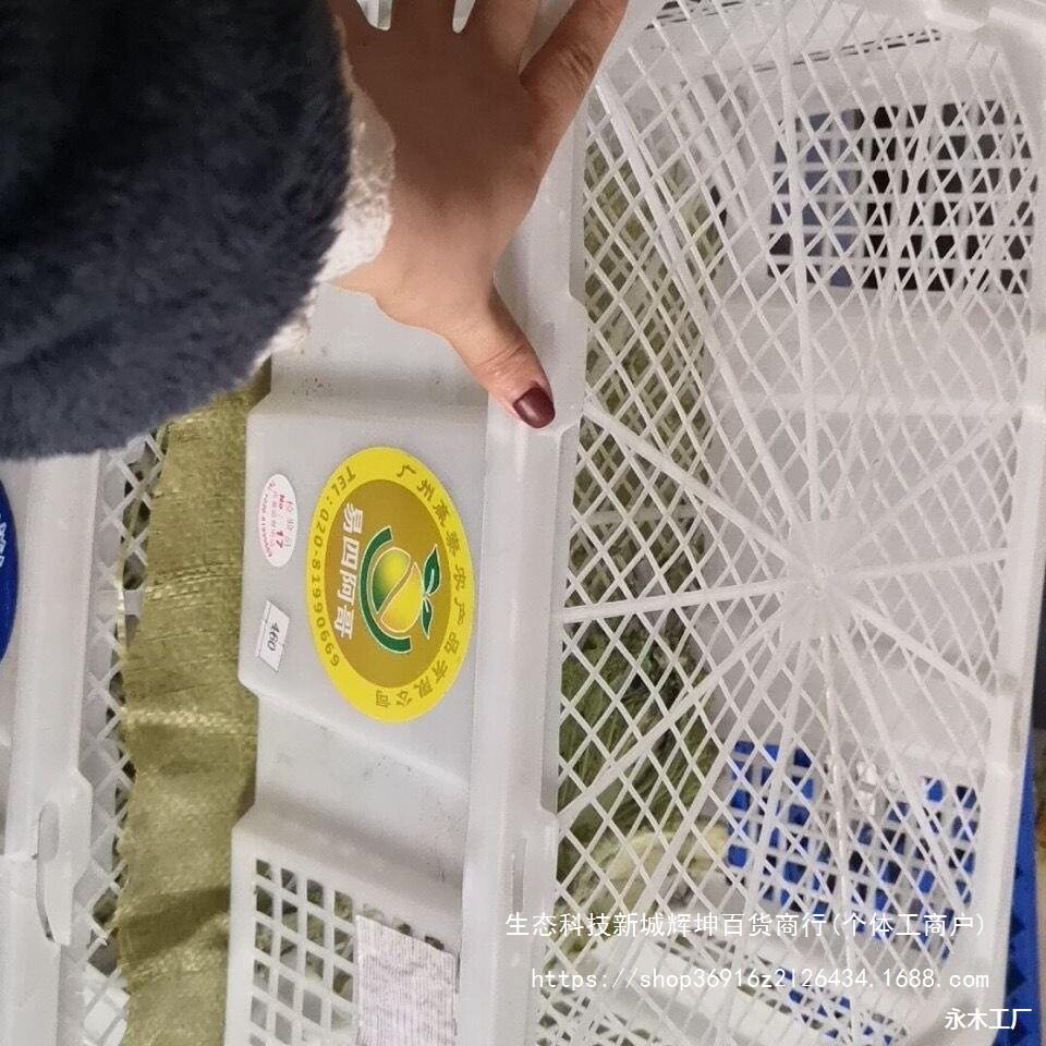 塑料筐运输筐鸽子筐水果筐水果篮冷藏筐白色筐采摘篮活禽筐无
