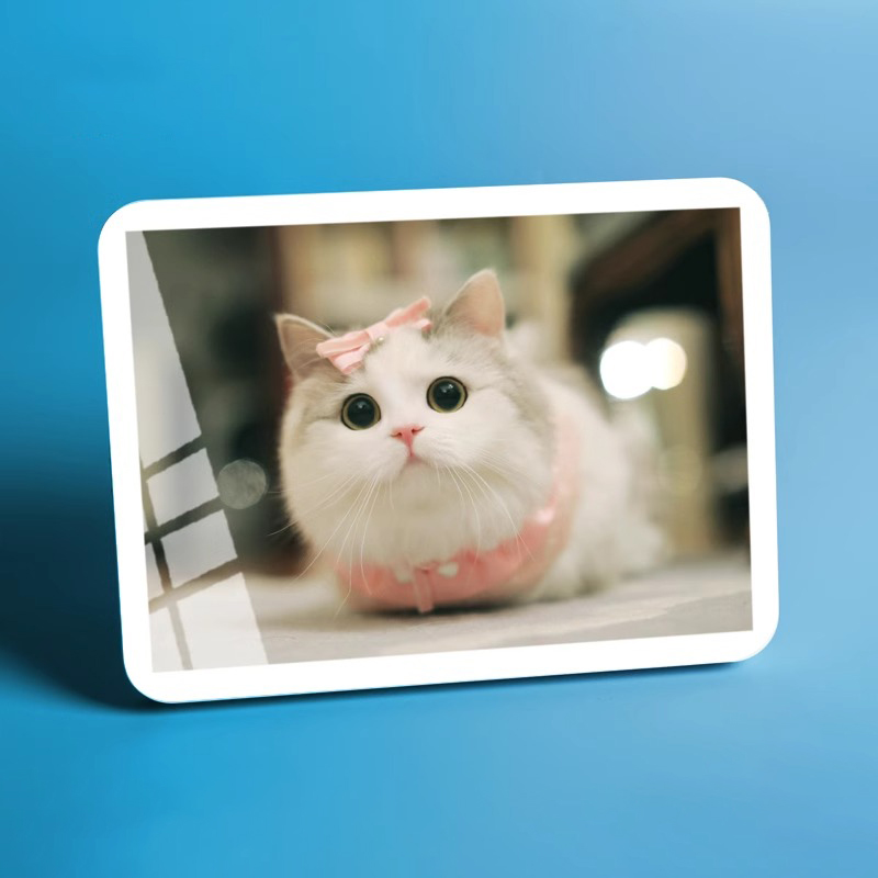 宠物纪念礼品猫咪狗狗相框