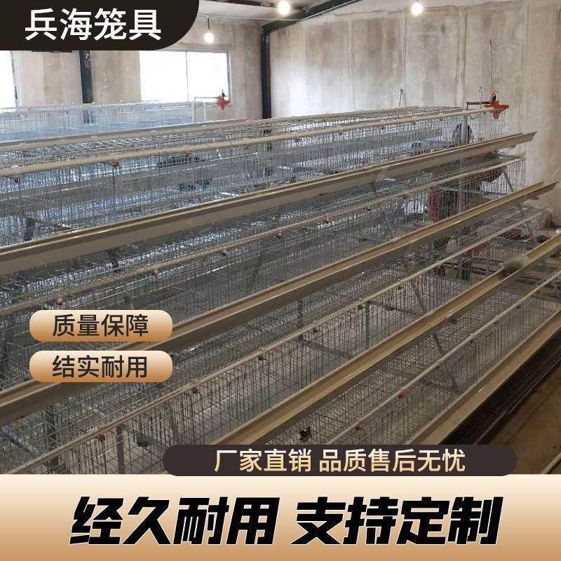 蛋鸡笼养殖设备热镀锌全自动鸡笼阶梯式养鸡设备自动化层叠养鸡笼,畜牧/养殖物资,畜牧/养殖器械,淘宝优惠券,粉丝福利购,淘宝优惠卷