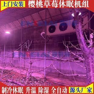 反季节品控机组除湿降温加热草莓大棚樱桃休眠制冷机空调制冷设备