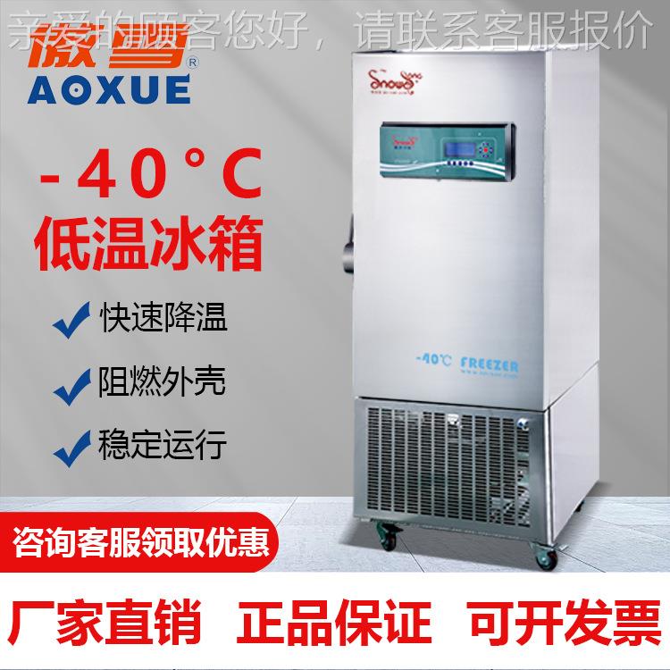 -40°工业速冻冰箱傲雪牌SD-40L280型180升专业低温保鲜