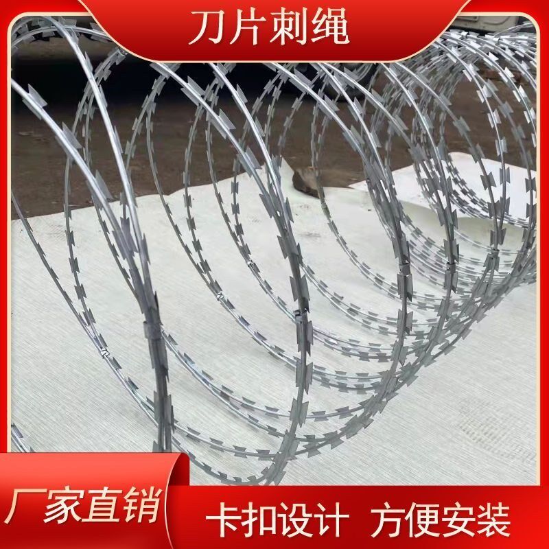 热销刀片刺绳刺网钢丝镀锌防盗网带刺不锈钢围栏围墙防爬刺安全防
