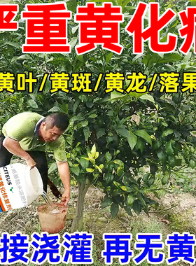 柑橘黄化修复剂桔子树脐橙果树营养液防治卷叶红鼻子黄龙病专用药
