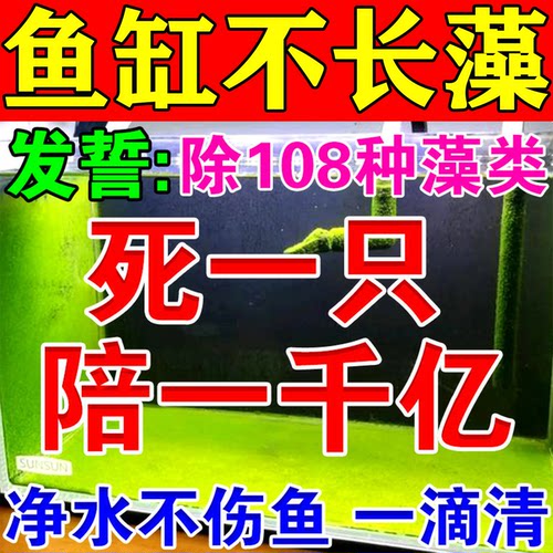 鱼缸除藻去苔剂养鱼池鱼缸壁清除绿藻褐丝藻黑毛藻神器青苔净水片