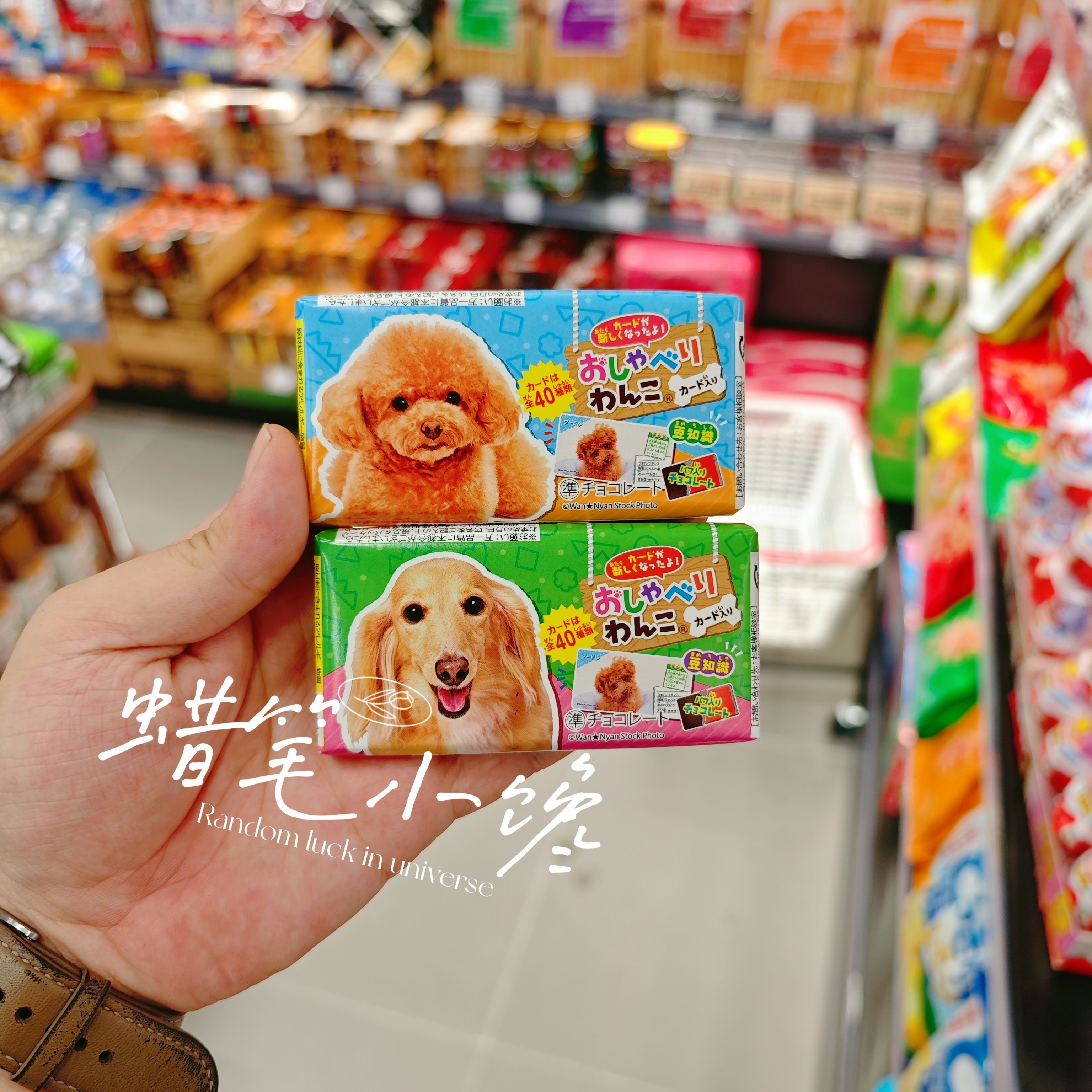香港代购 日本donki狗狗香脆巧克力儿童趣味零食手信收藏喵星人
