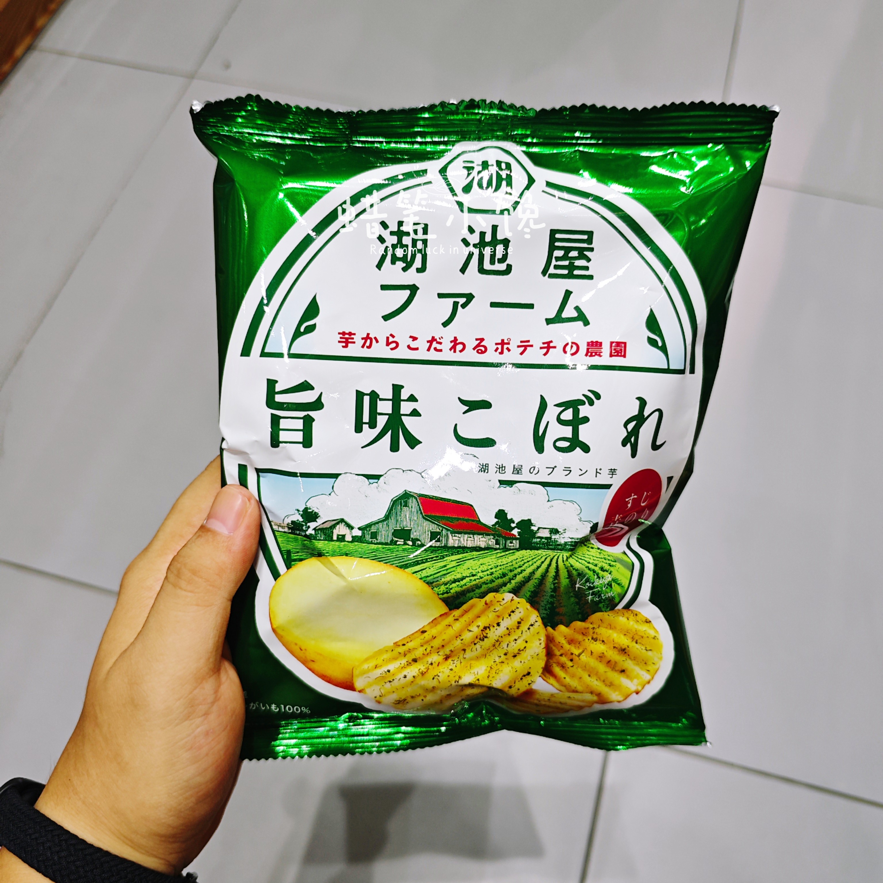 香港代购 Koikeya/湖池屋 日本进口Farm薯片海苔味黄金果肉烧盐味