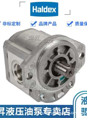 瑞典HALDEX翰德压路机补油泵 WP09A1B050R03BA150N 摊铺机齿轮泵