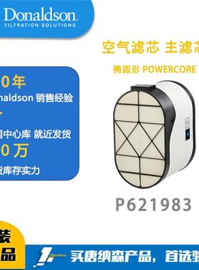 唐纳森蜂窝滤芯 发动机空滤 P621983 空气滤芯 主滤芯 椭圆形