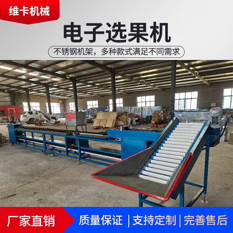 维卡厂家供应猕猴桃电子选果机 椭圆形水果分级机 柠檬选果机