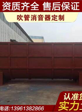 吹管消音器 吹扫消声器 管道吹扫消音器 冲管消声器 厂家直销