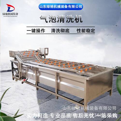 多功能气泡清洗机 全自动冲浪式清洗设备 莲藕土豆果蔬清洗机器
