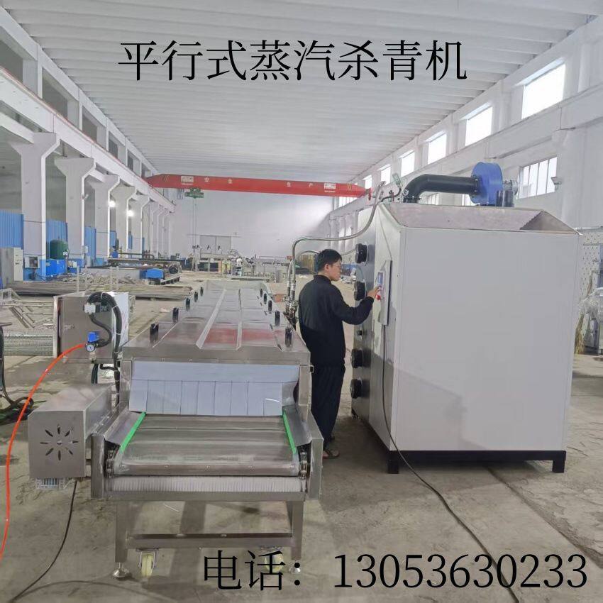 果蔬蒸煮漂烫杀青机 米线米粉巴氏杀菌机 全自动蔬菜预煮护色机