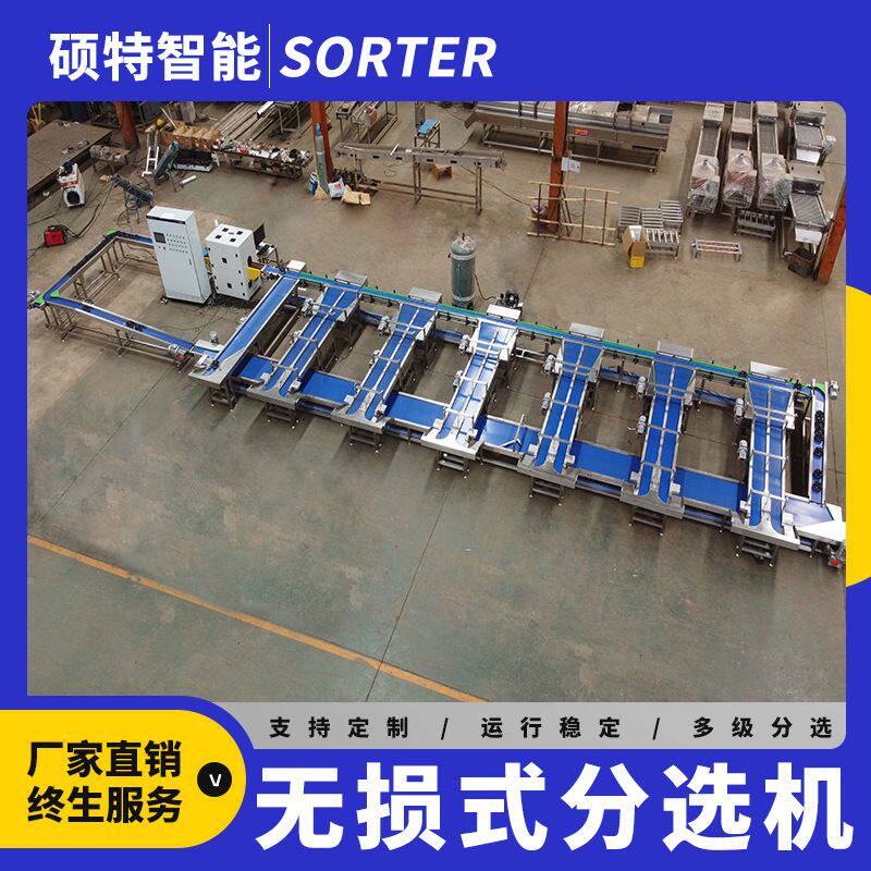 黄桃重量分选机 西瓜称重分拣机 秋月梨无花果无损全自动选果机