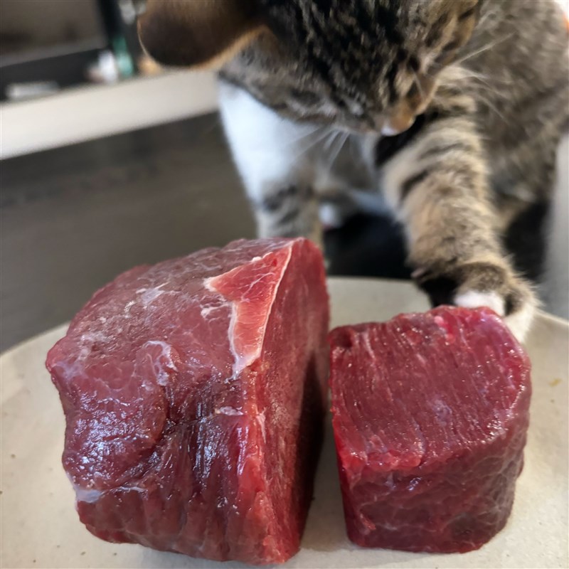 热销卿宝精修鸵鸟肉低脂营养猫咪狗狗湿粮宠物生骨肉食材卿宝检疫