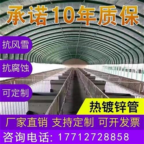 种植温室连栋连体配n件农业全套定制养殖N骨架钢管蔬菜大棚支架